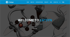 Desktop Screenshot of catsyn.com