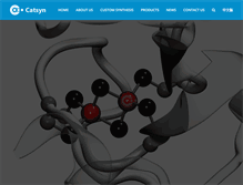 Tablet Screenshot of catsyn.com